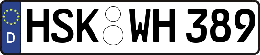 HSK-WH389