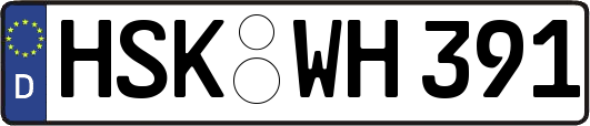 HSK-WH391
