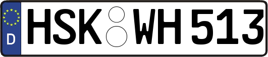HSK-WH513