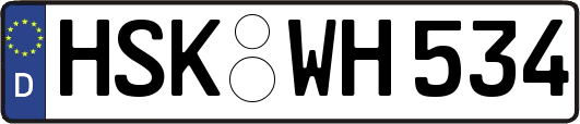 HSK-WH534
