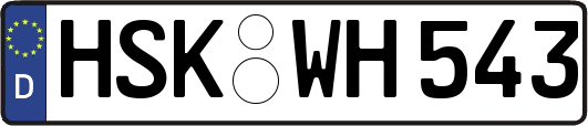 HSK-WH543