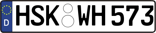 HSK-WH573