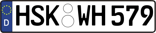 HSK-WH579