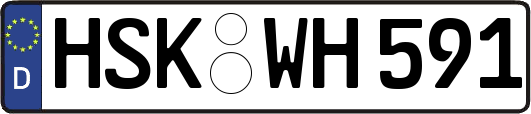 HSK-WH591