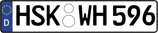 HSK-WH596