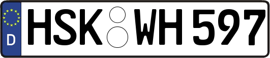 HSK-WH597