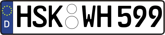 HSK-WH599