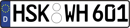 HSK-WH601