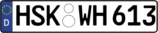 HSK-WH613