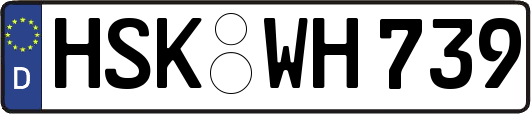 HSK-WH739