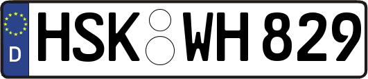 HSK-WH829