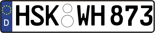 HSK-WH873