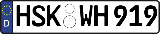 HSK-WH919