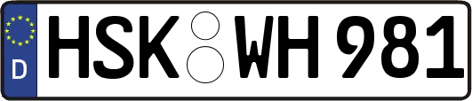 HSK-WH981