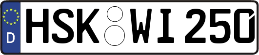 HSK-WI250