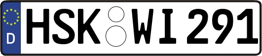 HSK-WI291