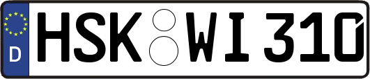 HSK-WI310