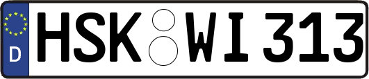 HSK-WI313