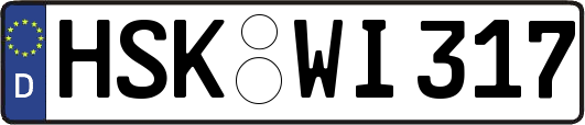 HSK-WI317