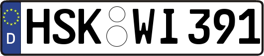 HSK-WI391