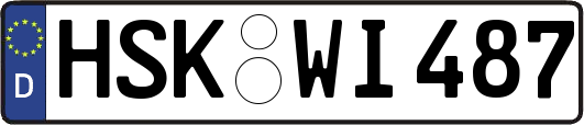 HSK-WI487