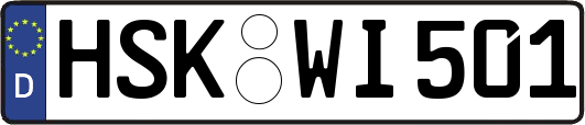 HSK-WI501