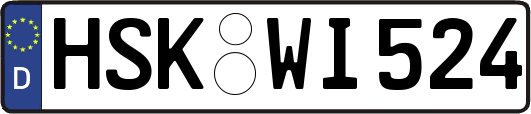 HSK-WI524