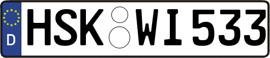 HSK-WI533