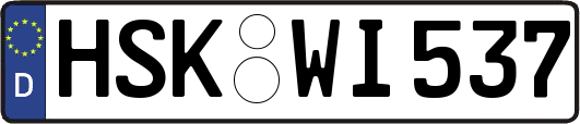 HSK-WI537