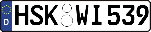 HSK-WI539