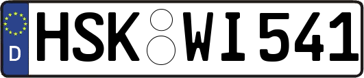 HSK-WI541