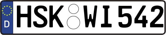 HSK-WI542