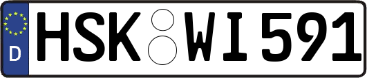 HSK-WI591