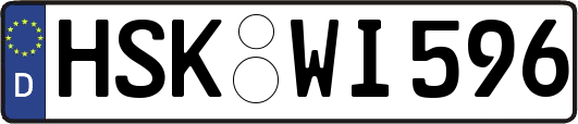 HSK-WI596