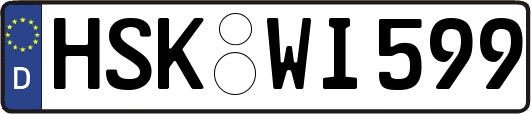HSK-WI599
