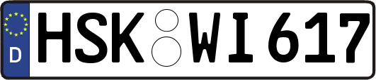 HSK-WI617