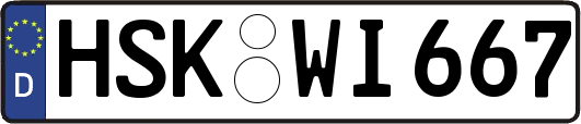 HSK-WI667