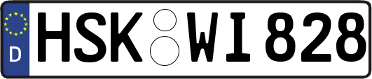 HSK-WI828