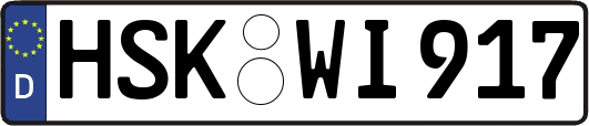 HSK-WI917