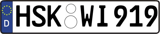 HSK-WI919
