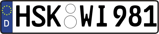 HSK-WI981