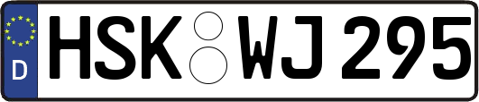 HSK-WJ295