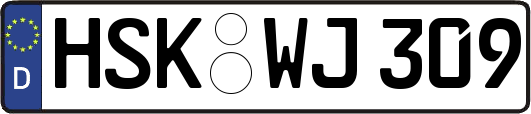HSK-WJ309