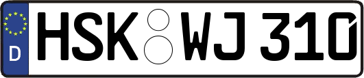 HSK-WJ310
