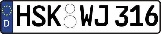 HSK-WJ316