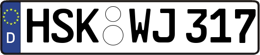 HSK-WJ317