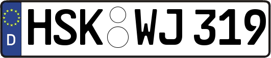 HSK-WJ319