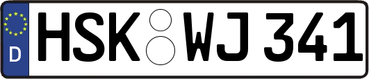 HSK-WJ341