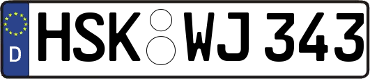 HSK-WJ343