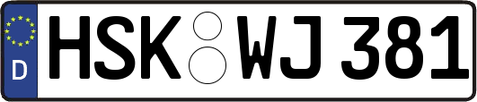 HSK-WJ381